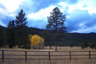 Fall color fence