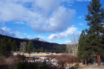 River and meadow