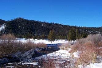 River and meadow