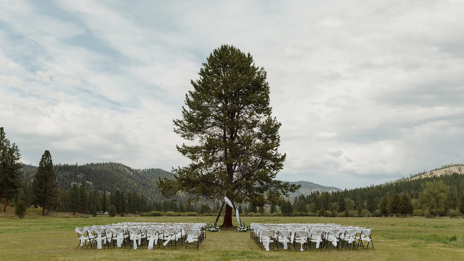Ceremony chairs set out under a lone ponderosa pine in the meadow, with forested mountains beyond