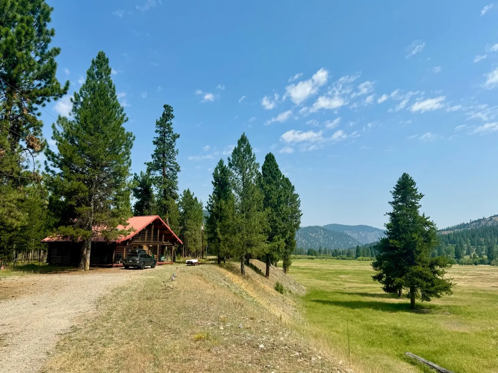 The Cottonwood at the edge of the meadow, with the mountains beyond