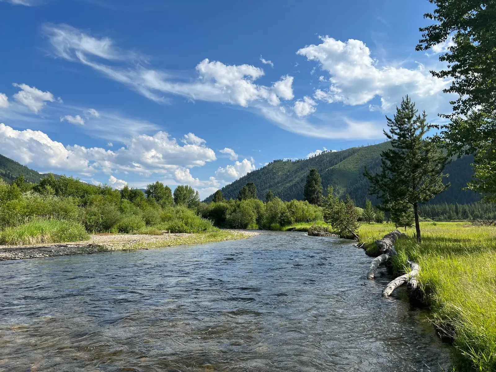 The West Fork running wide and clear under big summer clouds