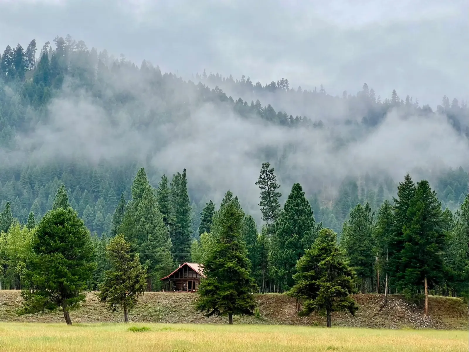 Fog lifting off the forested hills above the ranch meadow