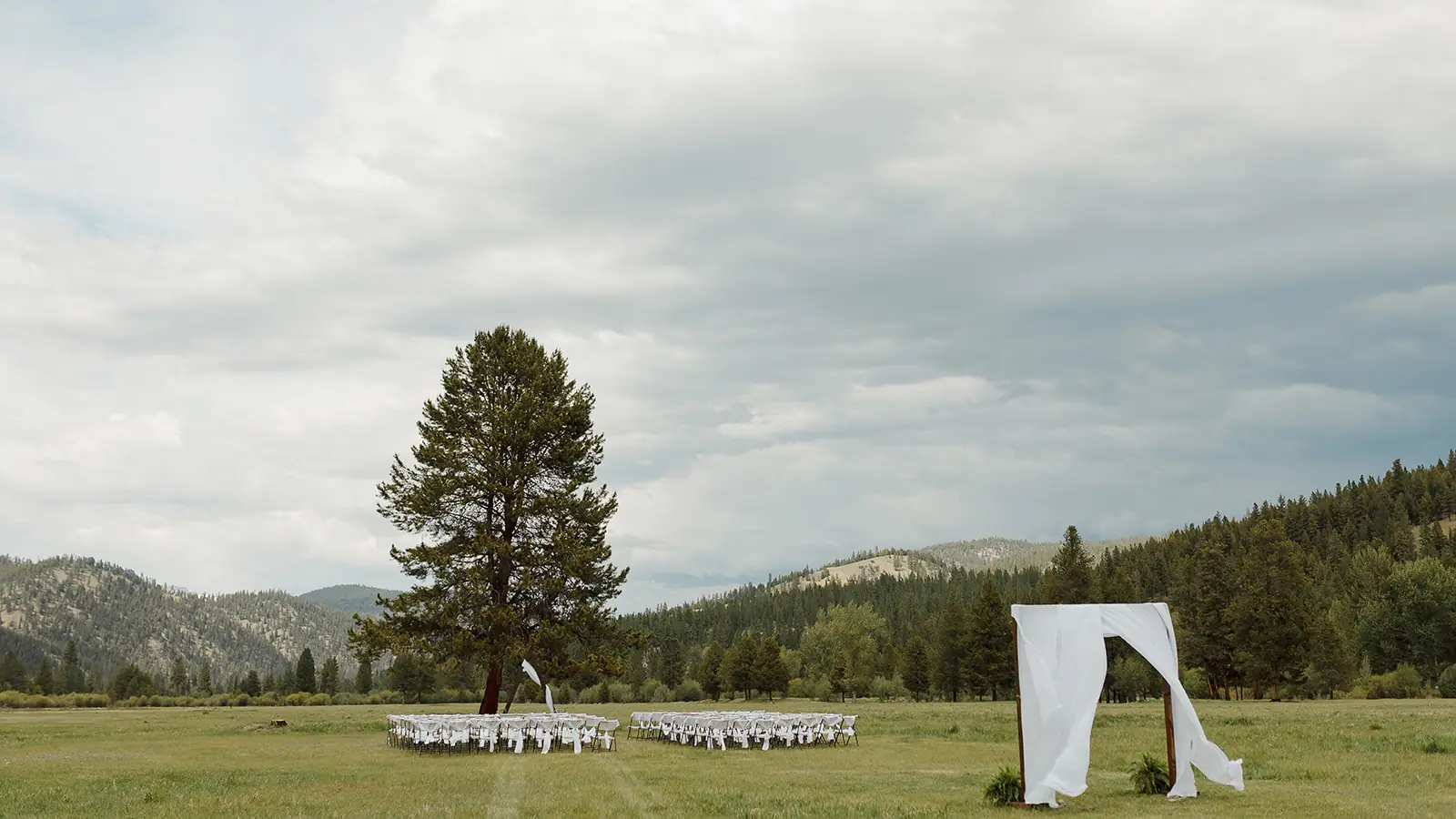 Rows of white chairs and a draped arch set in the open meadow beside the lone pine