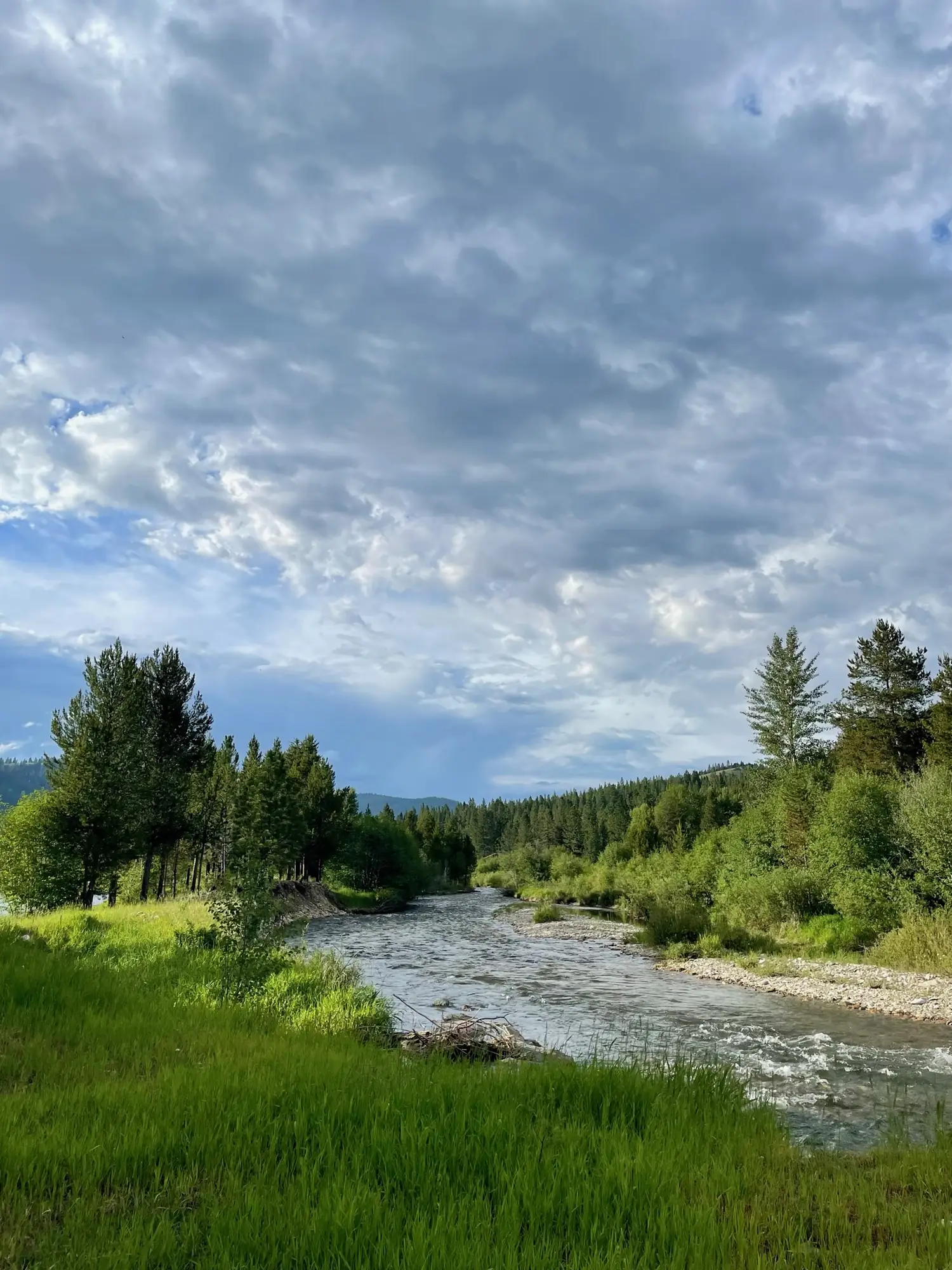 The West Fork bending through the meadow under a soft cloudy sky