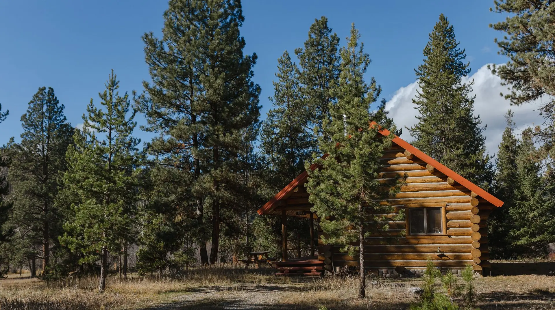 A log cabin rental surrounded by tall pines under a blue sky