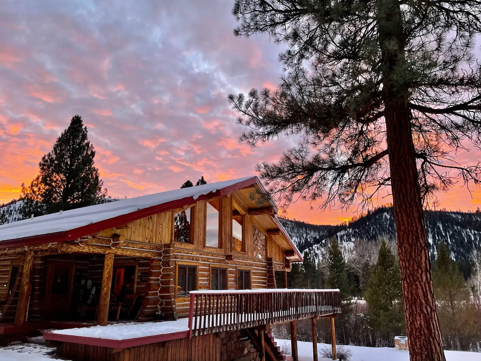 The log lodge under a pink winter sunset, snow on the roof and a tall ponderosa pine beside it