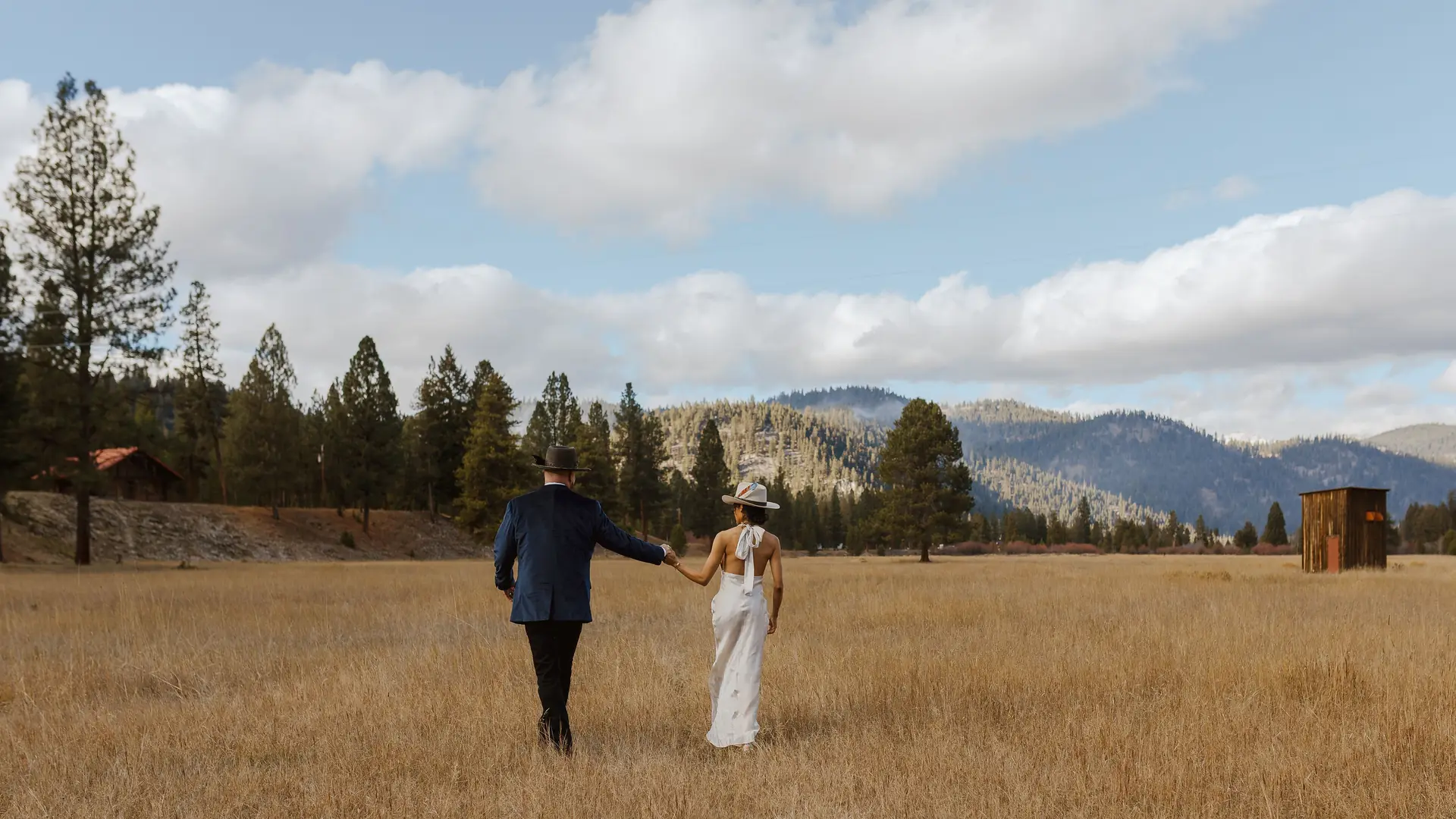 A couple walking hand in hand across the golden fall meadow toward the pines and mountains