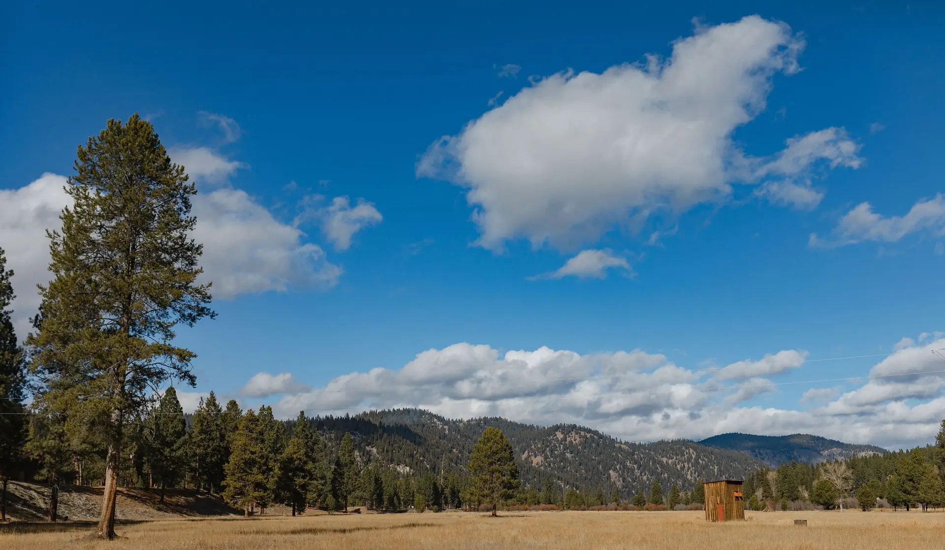 Wide sky over the Alta Ranch meadow with a lone ponderosa pine and forested hills