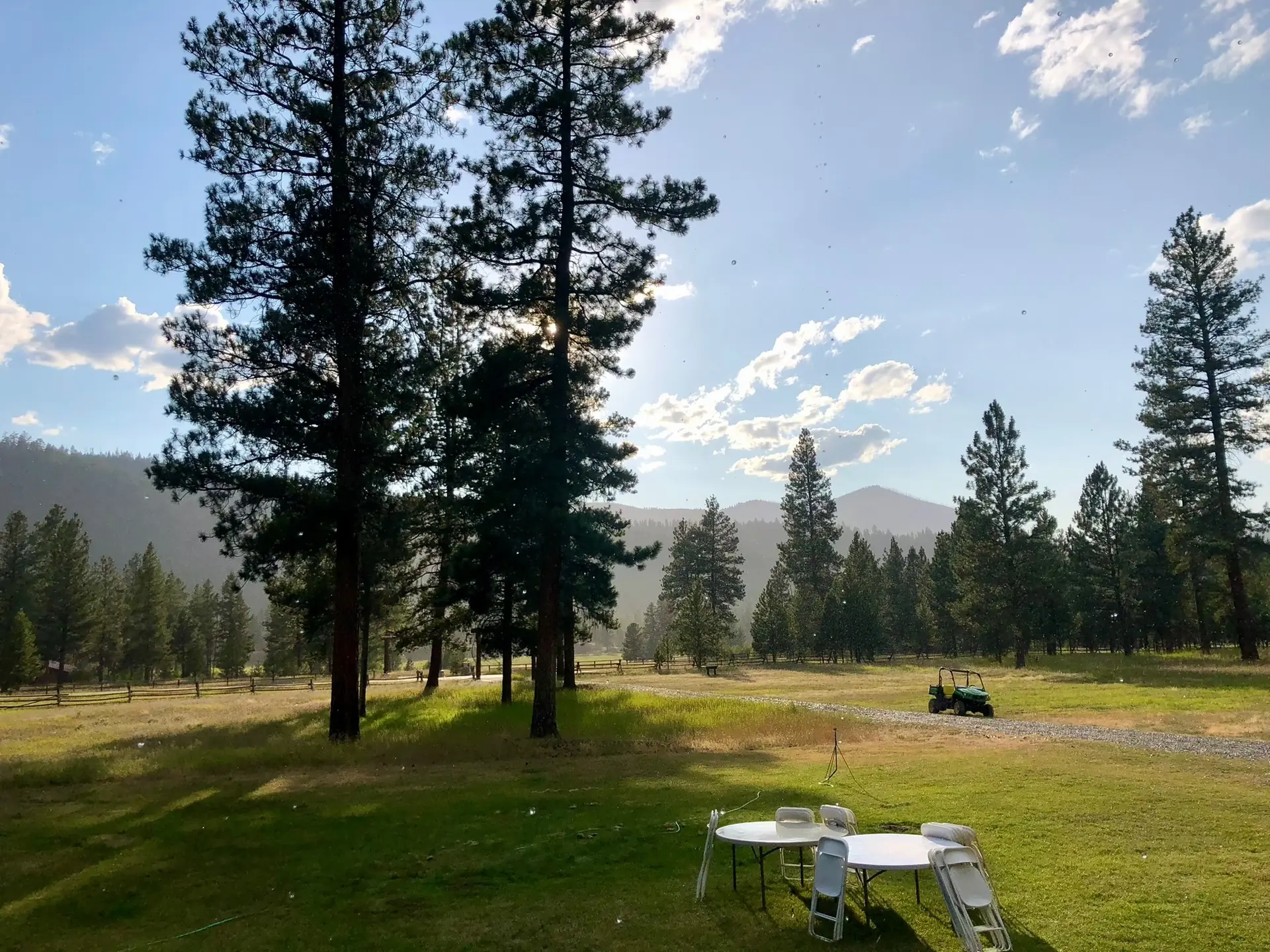 Round tables set out on the green lawn among tall pines on a sunny afternoon