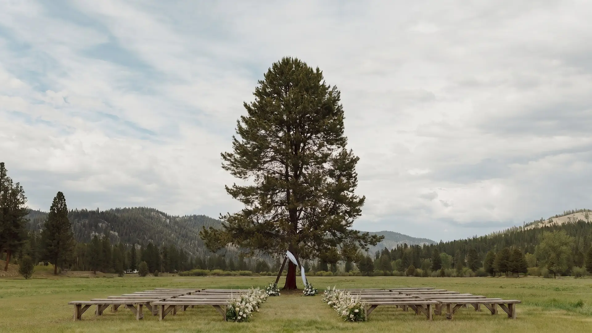 Benches and wildflowers set for a ceremony under the lone pine in the meadow