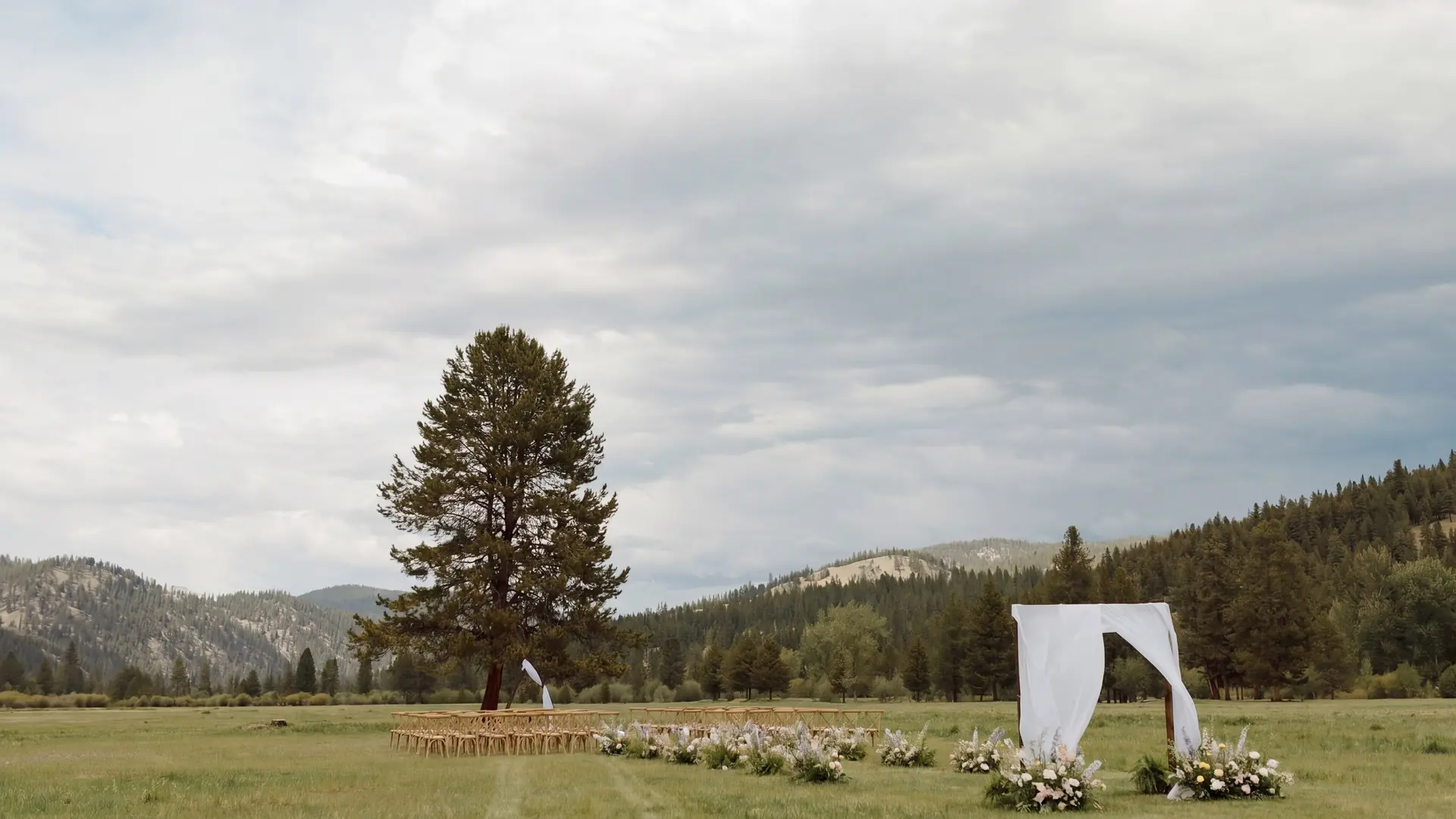 Styling idea: a draped arch and wildflower aisle in the open meadow by the lone pine