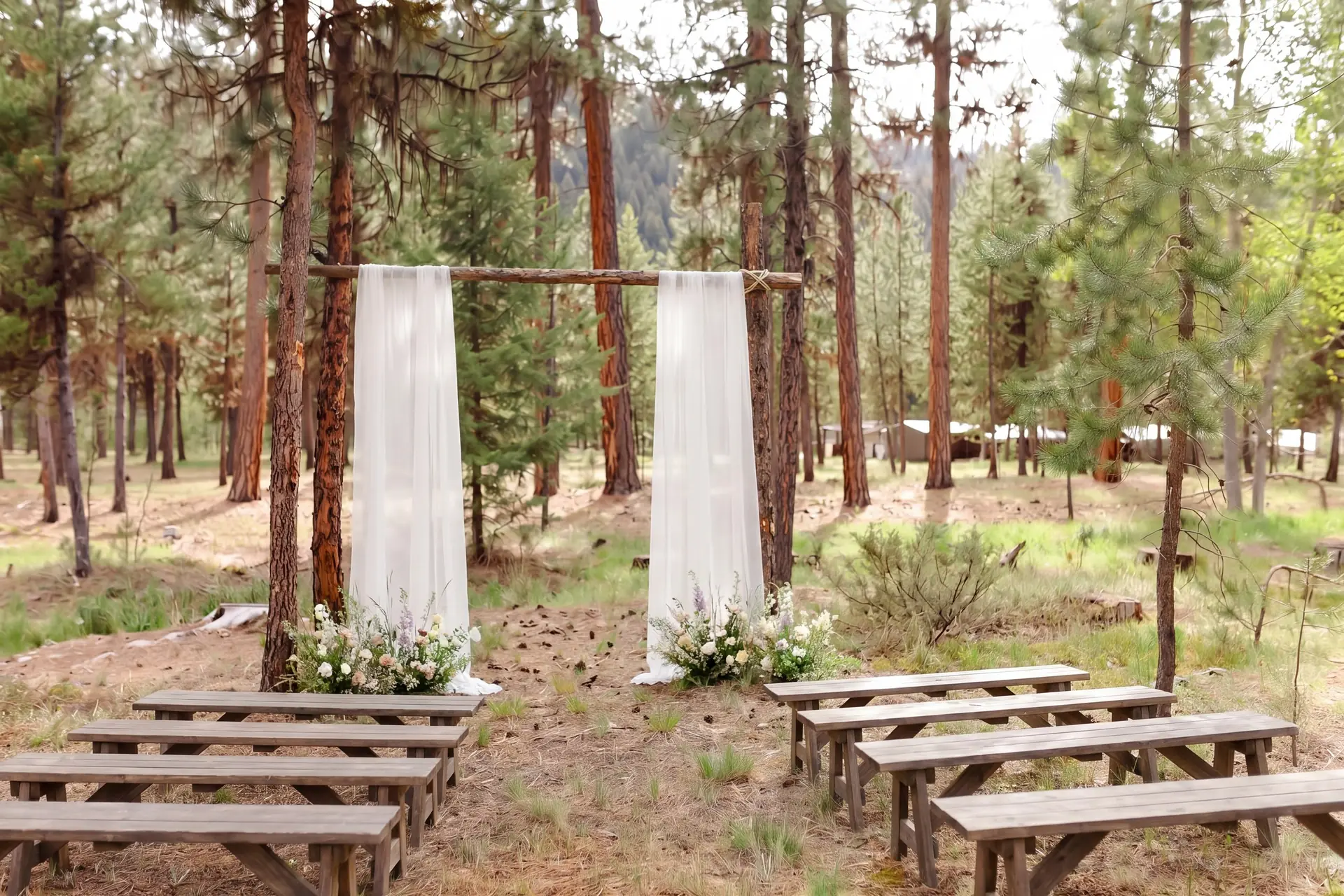 Benches and two white drapes set for a ceremony in a clearing among the ponderosa pines